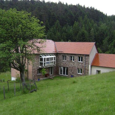 Gite Gretel De La Ferme Du Schneeberg Wangenbourg-Engenthal Екстериор снимка
