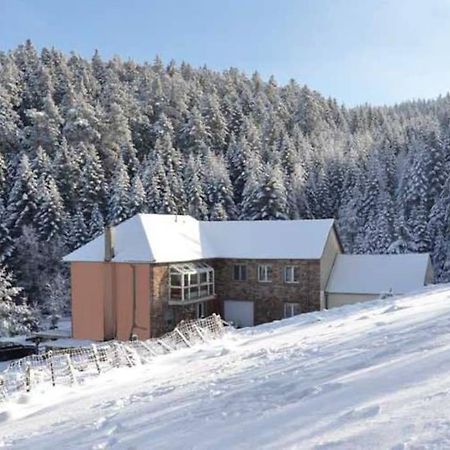 Gite Gretel De La Ferme Du Schneeberg Wangenbourg-Engenthal Екстериор снимка