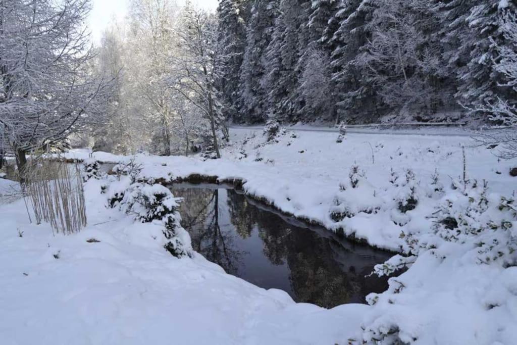 Gite Gretel De La Ferme Du Schneeberg Wangenbourg-Engenthal Екстериор снимка