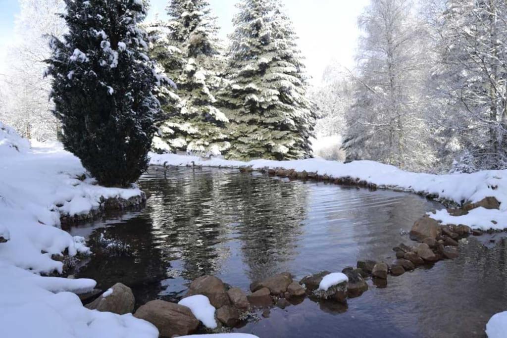 Gite Gretel De La Ferme Du Schneeberg Wangenbourg-Engenthal Екстериор снимка