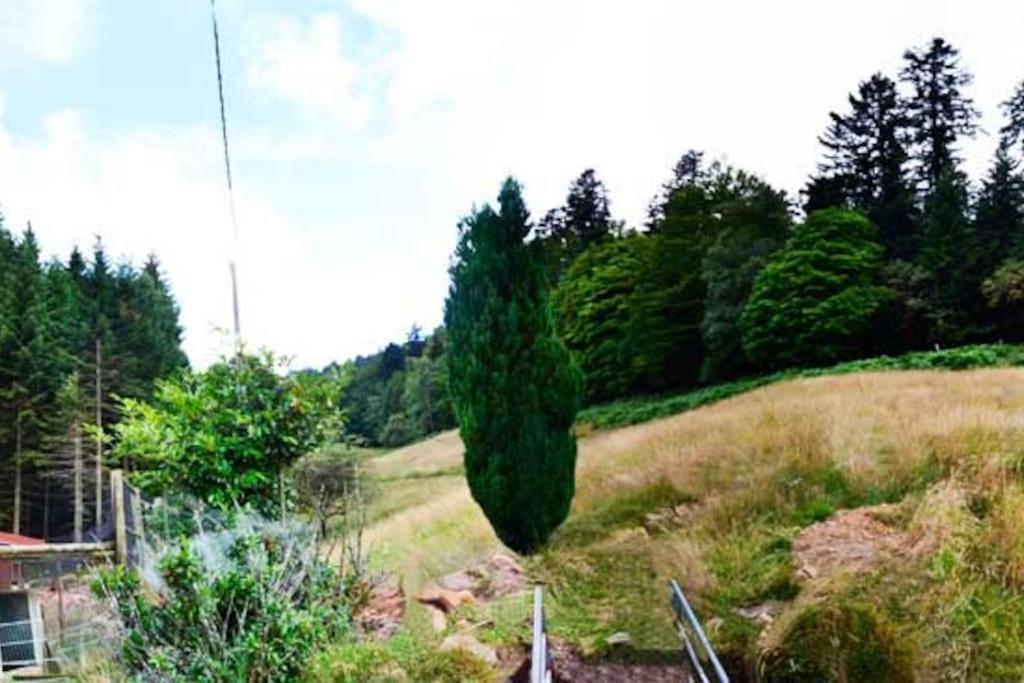 Gite Gretel De La Ferme Du Schneeberg Wangenbourg-Engenthal Екстериор снимка