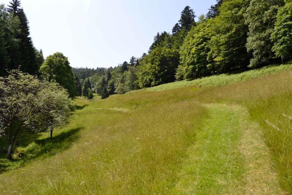 Gite Gretel De La Ferme Du Schneeberg Wangenbourg-Engenthal Екстериор снимка