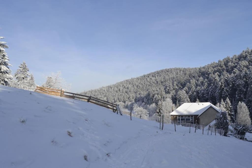 Gite Gretel De La Ferme Du Schneeberg Wangenbourg-Engenthal Екстериор снимка