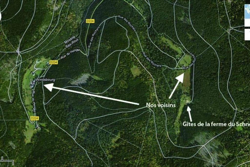 Gite Gretel De La Ferme Du Schneeberg Wangenbourg-Engenthal Екстериор снимка